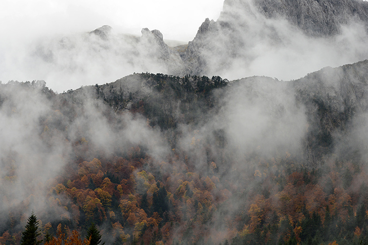 Pirineos, valle de hecho