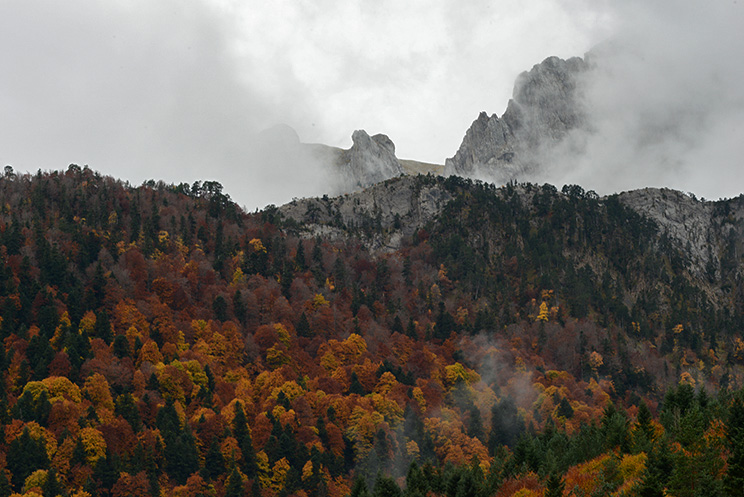 Pirineos, valle de hecho